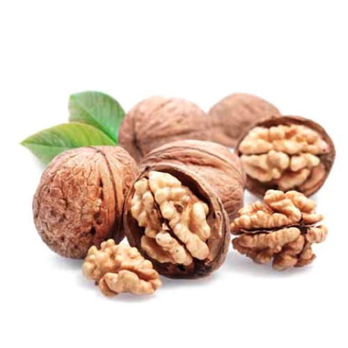 Walnut (Akhrot Giri-अखरोट)