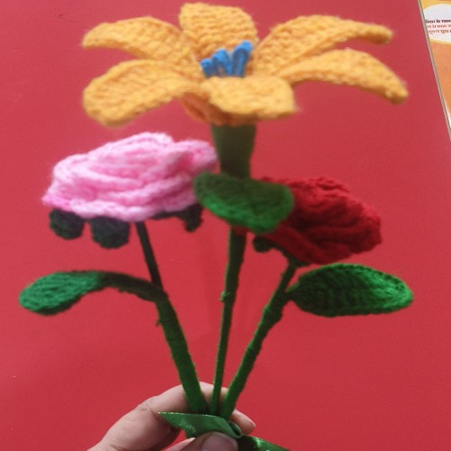 Crochet Flowers